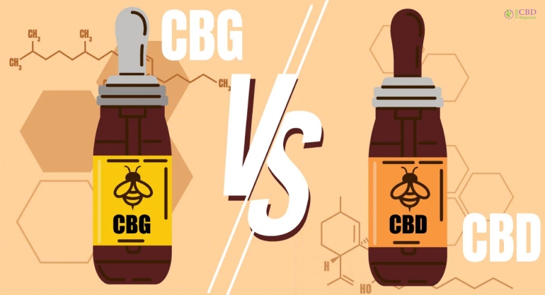 Difference Between CBD And CBG