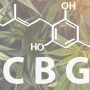 What is CBG