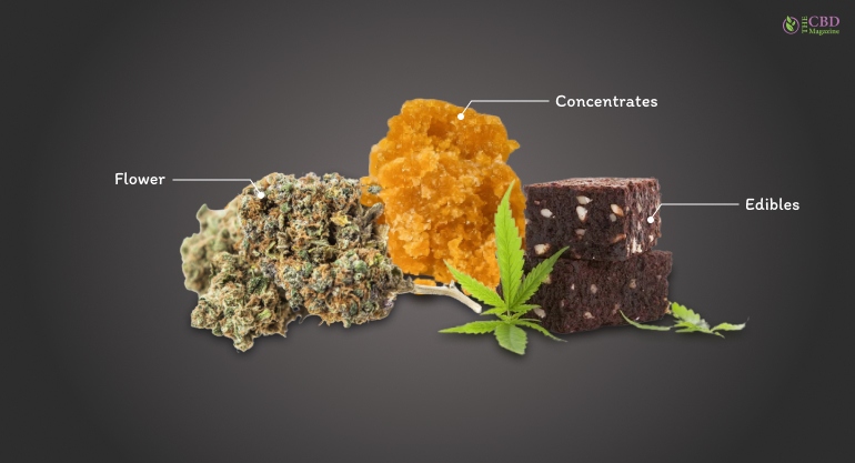 Types Of Weed: Strains