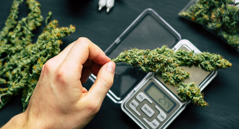 Marijuana Jargon And Measuring Weed