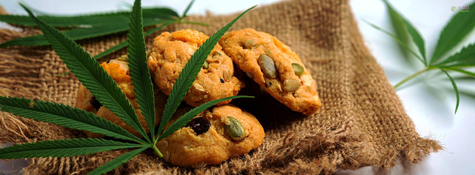 how long do edible gummies take to expire