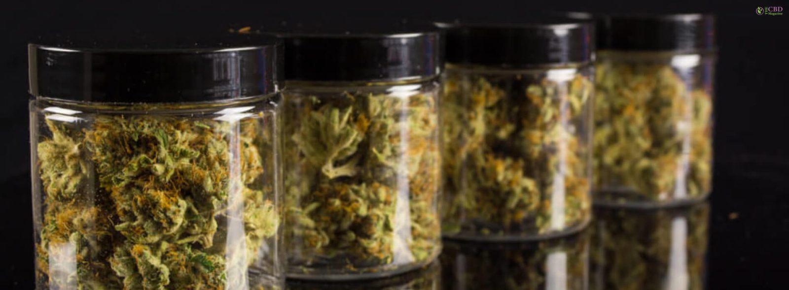 Breaking Down A Quarter Of Weed: The Marijuana Metric System