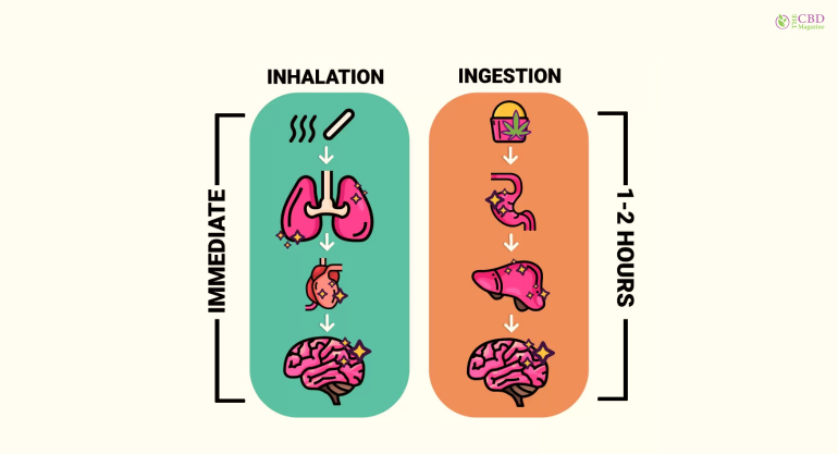 How Weed Works