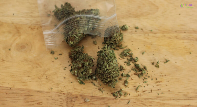 Is Dub Sack Slang