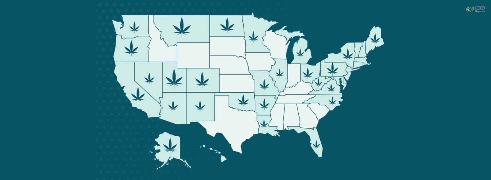 Is weed legal In Georgia? Everything You Need To Know