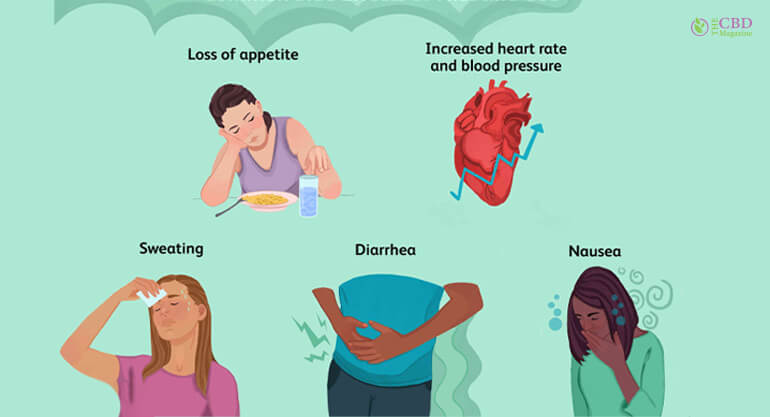 Nicotine And Its Effects