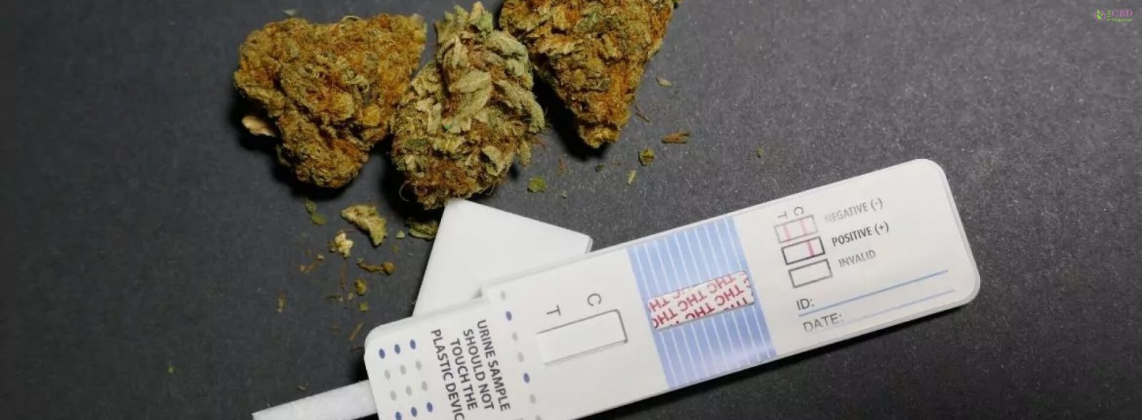 does hhc show up on a drug test