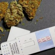 does hhc show up on a drug test