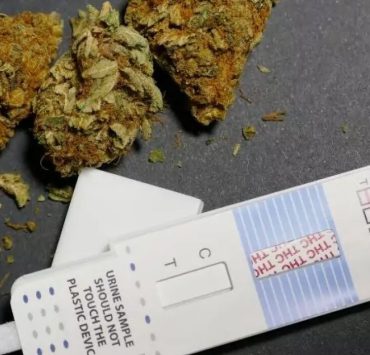 does hhc show up on a drug test