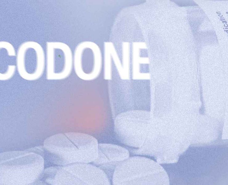 how long does oxycodone stay in your urine