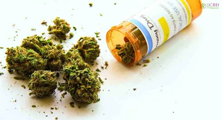 Medical Marijuana Usage in Hawaii