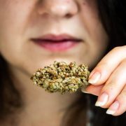 does cbd smell like weed