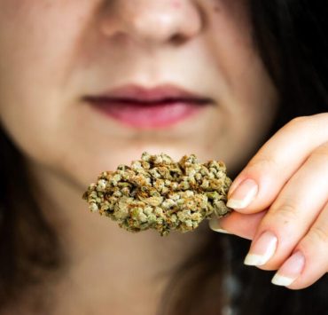 does cbd smell like weed