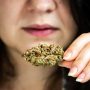 does cbd smell like weed