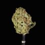 mendo breath strain