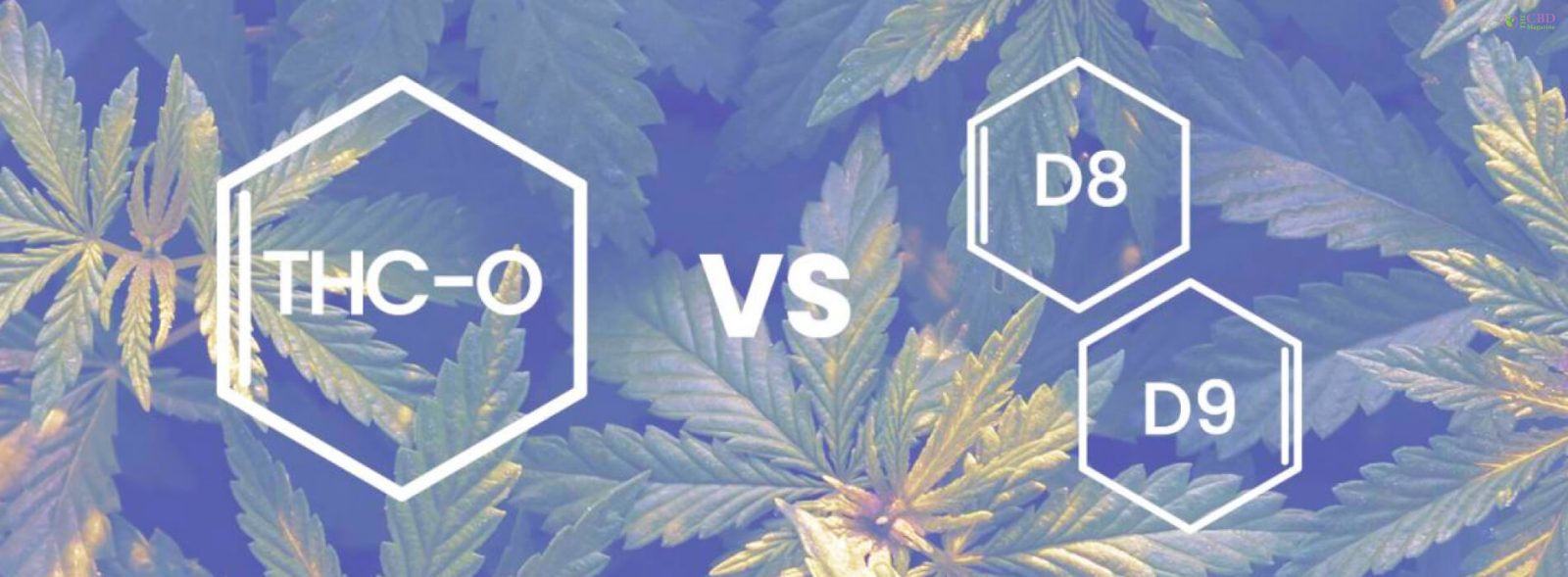 THC-O vs Delta-8