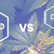 THC-O vs Delta-8