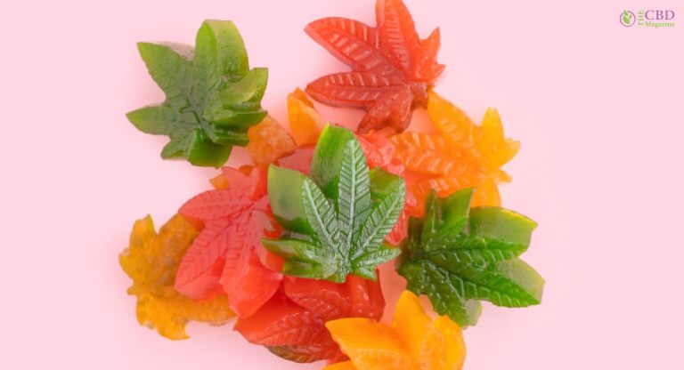 How To Make Weed Gummies? The ULTIMATE Guide To Making Weed Gummies!