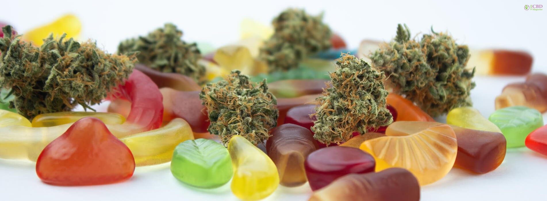 How To Make Weed Gummies? The ULTIMATE Guide To Making Weed Gummies!