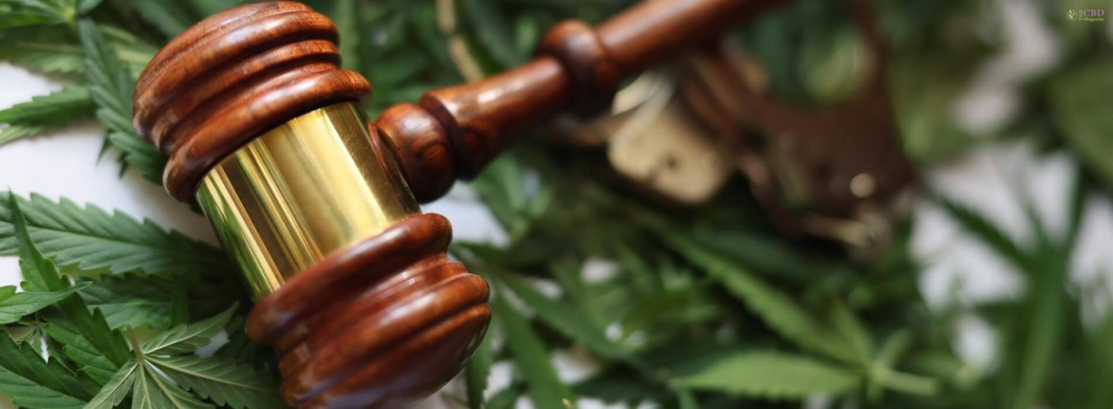 what states is weed legal