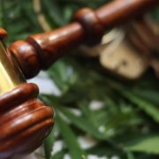 what states is weed legal