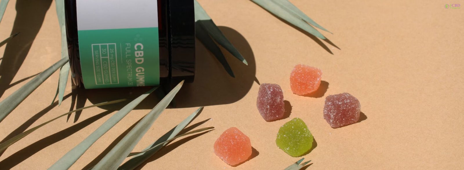 CBD Gummies By Wellness Peak