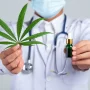 Additional Reading: Discover The Many Benefits Of Using Delta 9 Gummies How To Make Weed Gummies? The ULTIMATE Guide To Making Weed Gummies! The Main Types Of Cannabis Businesses: Business Opportunities In The Cannabis Industry!