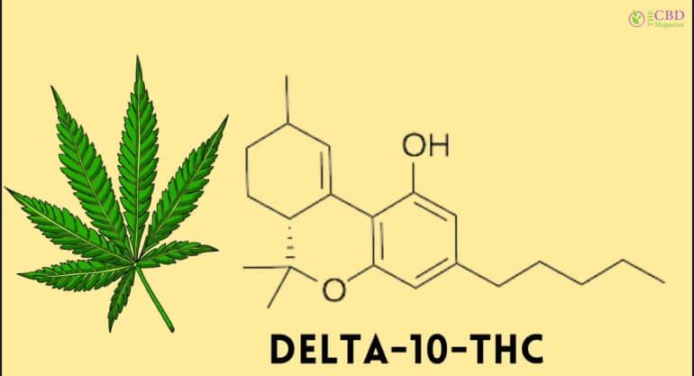 What Is Delta 10 THC