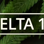 delta 11