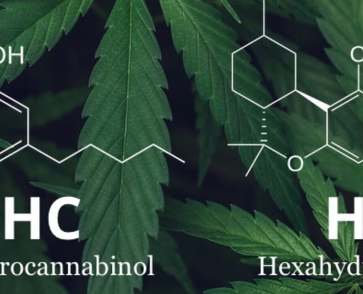 hhc vs thc