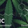 hhc vs thc