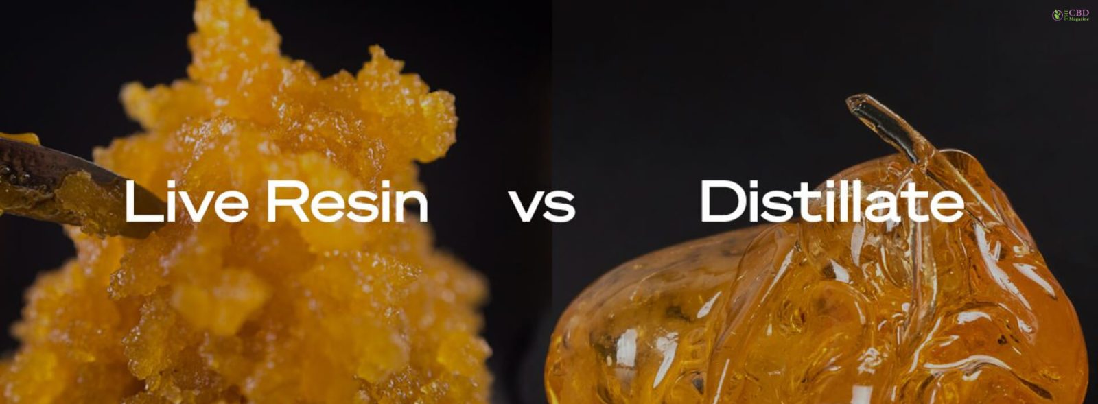 live resin vs distillate