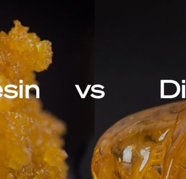 live resin vs distillate