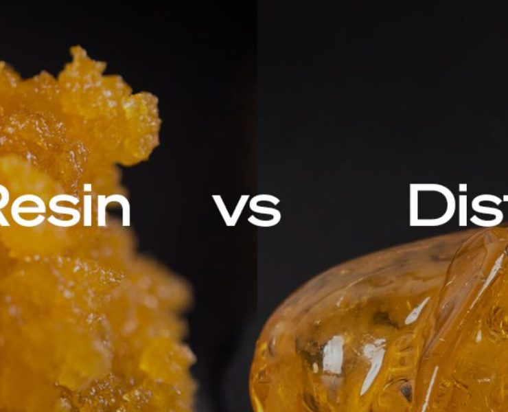live resin vs distillate