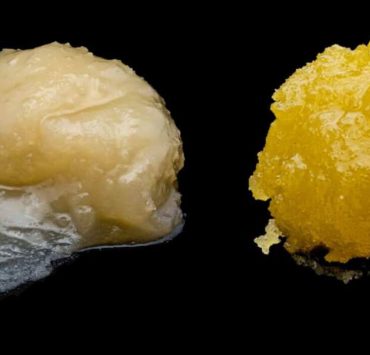 resin vs rosin