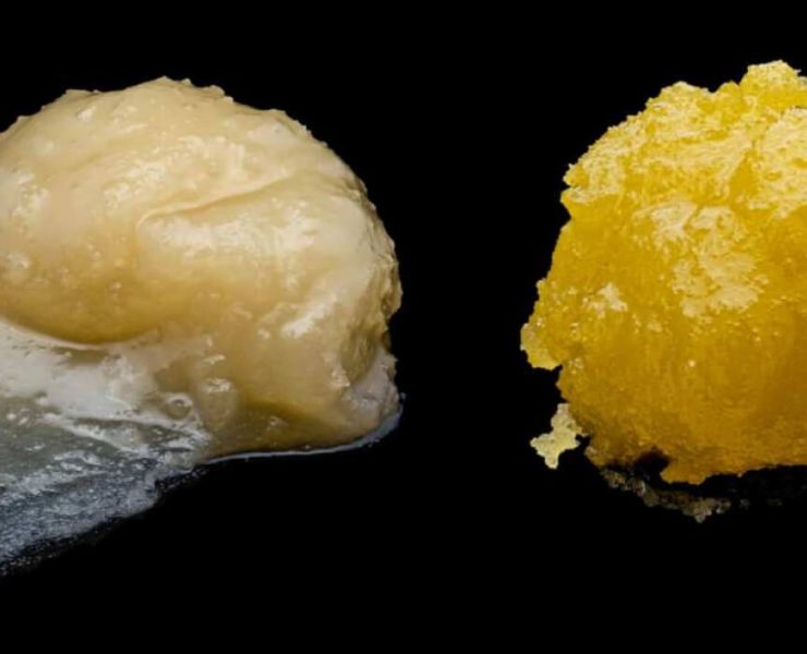 resin vs rosin