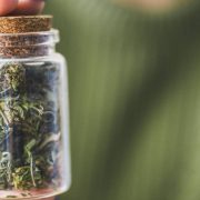 How To Hide Weed Smell