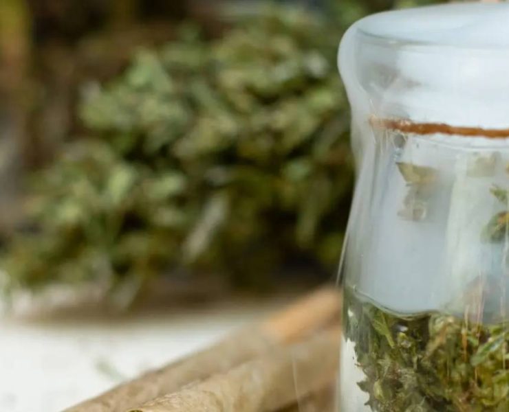 How To Keep Weed Fresh