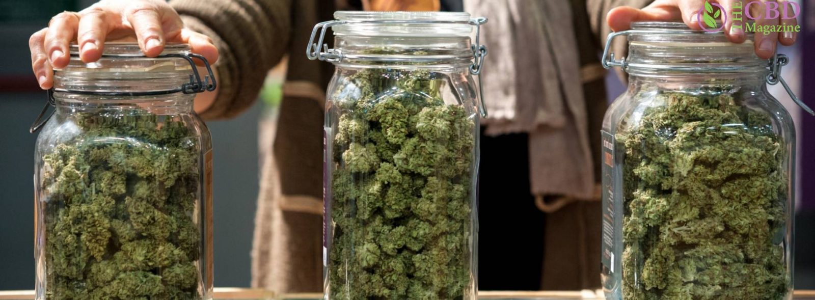 How To Rehydrate Weed