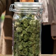 How To Rehydrate Weed