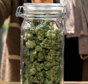 How To Rehydrate Weed