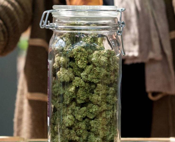 How To Rehydrate Weed