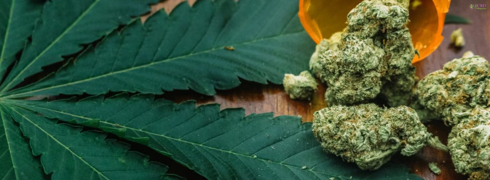 Marijuana Consumptions Can Increase Risks Of Heart Failure And Strokes