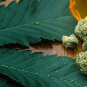 Marijuana Consumptions Can Increase Risks Of Heart Failure And Strokes