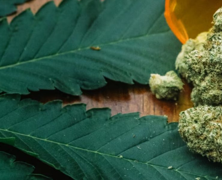 Marijuana Consumptions Can Increase Risks Of Heart Failure And Strokes