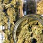 how to cure weed