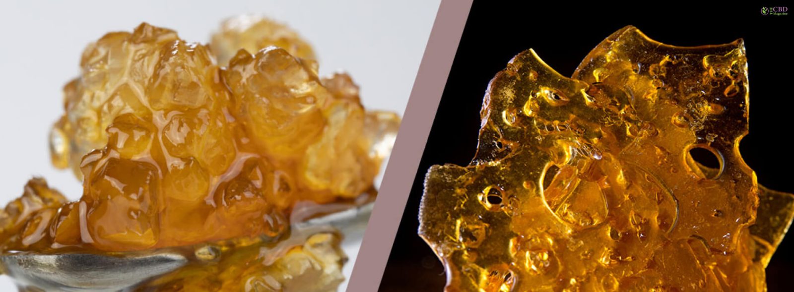 shatter vs wax