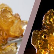 shatter vs wax