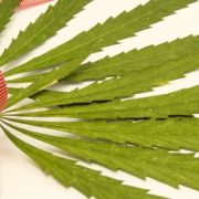 does weed make you gain weight