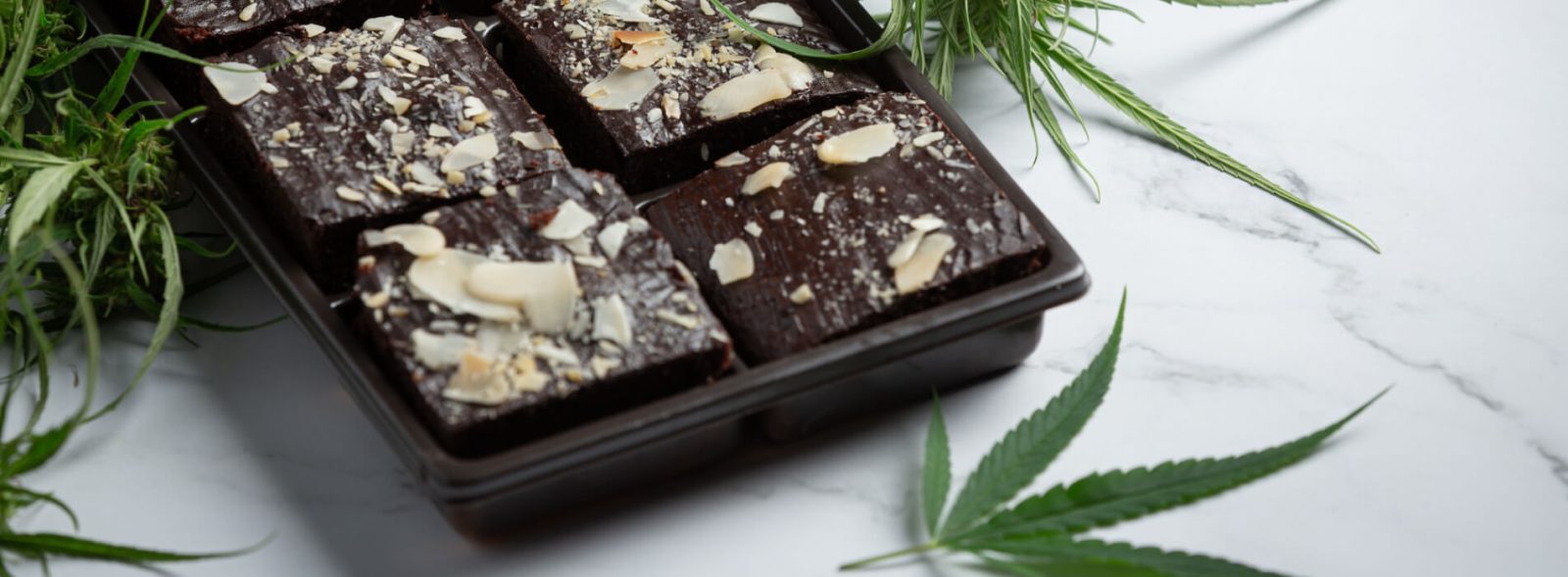 Sativa vs Indica Edibles